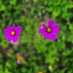DSC_1123-2