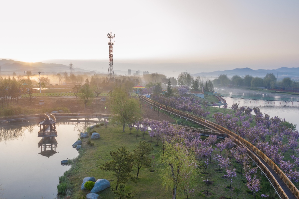 美丽乡村威海羊亭