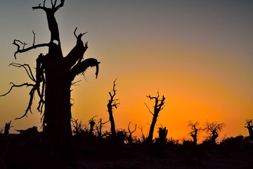 DSC_3433_01