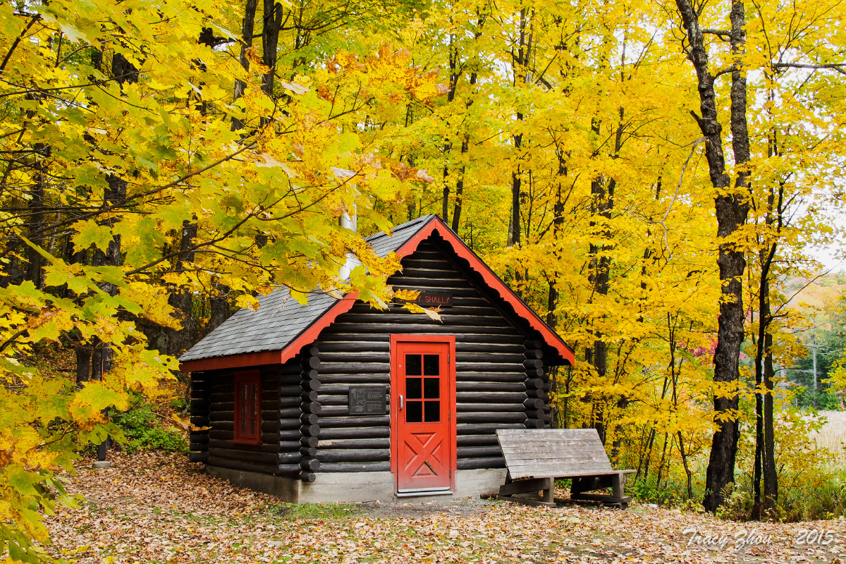 Gatineau国家公园 - 风光, 加拿大, 奥太华, 奥林