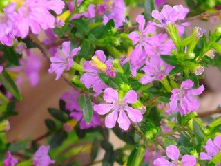 AB3AC7B1-E482-43FD-8923-EF2C385D64D3/L0/001