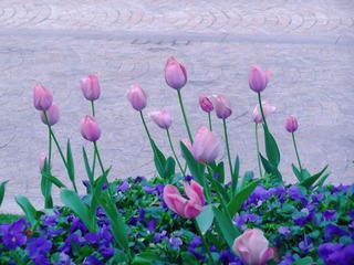 59A53F24-7F41-4F36-B947-B5DEA299BF52/L0/001