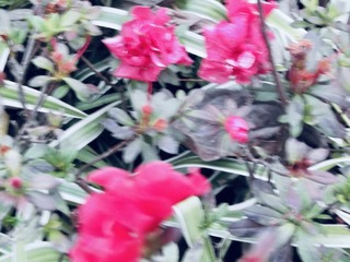 53F15B9E-F28C-42CB-B853-0F1EAEAF5D61/L0/001