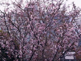 B16343B3-8A50-4272-8D46-1B68EF708F39/L0/001