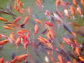 6F0E26D4-A03E-4633-B0DD-C78E63531704/L0/001