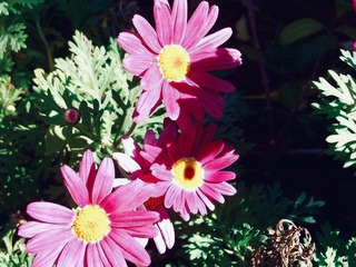 D469E16B-71DB-4435-88AB-84F52FE51370/L0/001