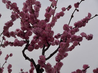 648E9A4E-DB23-436D-AB22-25DFD2071CA8/L0/001