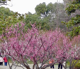B868725A-CD24-4E29-B365-3DE44A770B19/L0/001