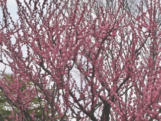 1B27F6C2-33FE-43C4-85B8-379462B54426/L0/001