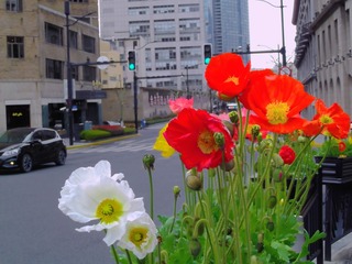 ABC62EA3-EA03-488D-8CF6-C70645D62AE7/L0/001