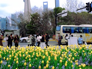 E09C9778-BEE1-4FC8-855F-37DFFAC85442/L0/001