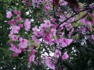 7E176FF7-B148-436C-952C-16D06D79CA65/L0/001
