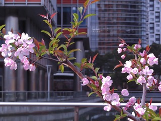 C6B1BEE5-A065-4A74-B2B1-F5F47C925DA4/L0/001