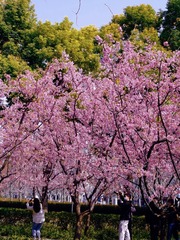 490AD3B4-977B-4FCD-9B39-0A426D67C675/L0/001