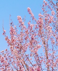 260C70E7-D9FA-4D85-A042-379A7B2481B8/L0/001