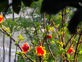 000A63F7-D7AD-4149-B68B-A5C24BFD683C/L0/001