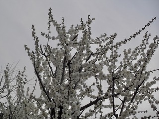 494366CD-46C0-4D06-B087-FBDFE80F229D/L0/001