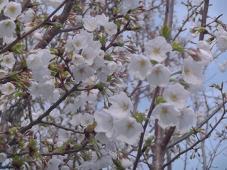 72D99F4B-0A3C-4F4E-B1AB-366E8BB2BB42/L0/001