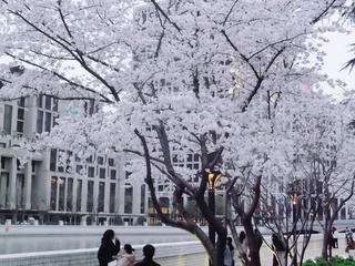 6D7B901E-E45B-43B0-AC7C-07AF88019C0C/L0/001