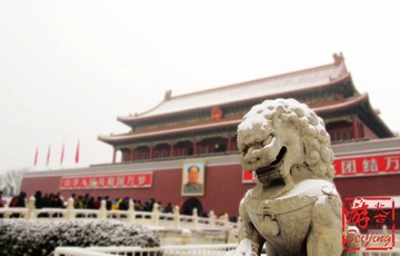IMG_9505.jpg