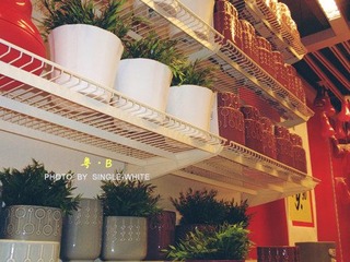 粤·B   .jpg