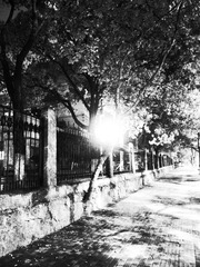 R0013504