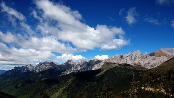 DSC_2447.jpg