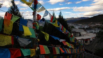 DSC_2247.jpg
