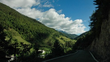 DSC_2407.jpg
