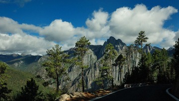DSC_2398.jpg