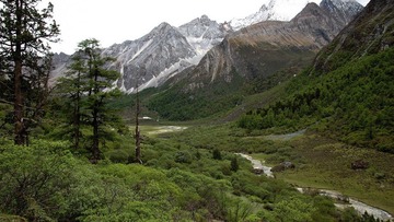 DSC_3125.jpg
