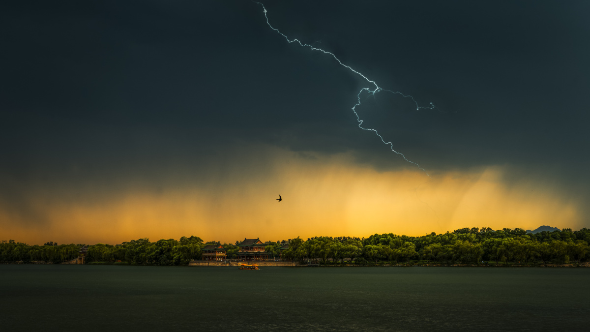 一只穿过暴风雨的雨燕