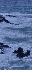 73D9281F-D96F-4B21-B66C-9CDA47185D76/L0/001