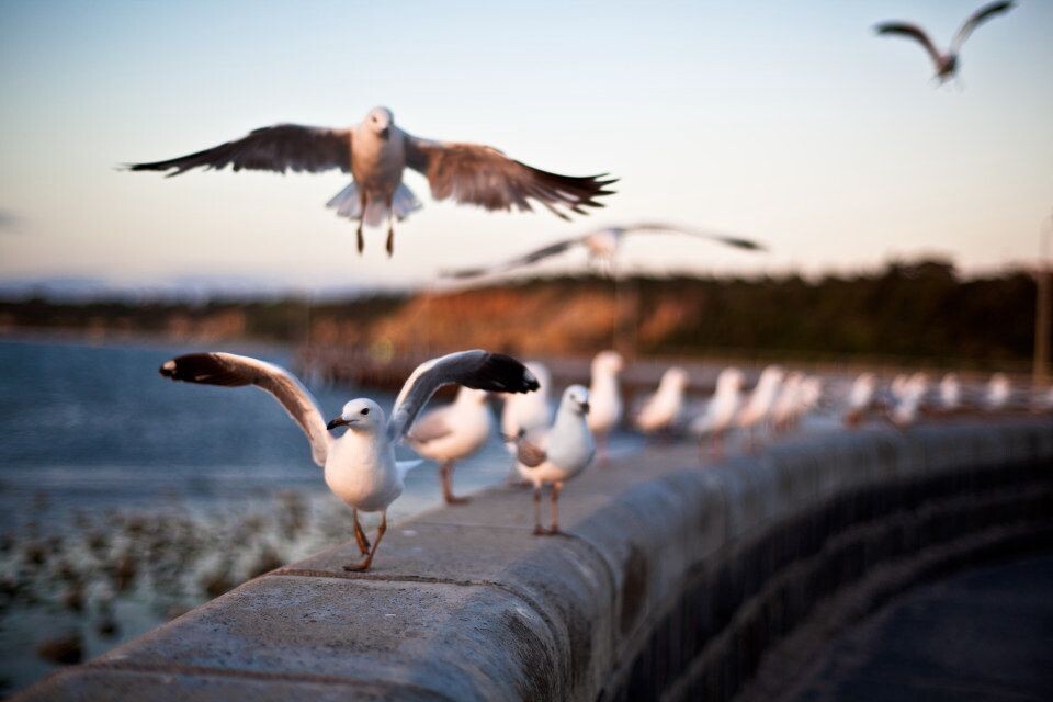 coast<br />
