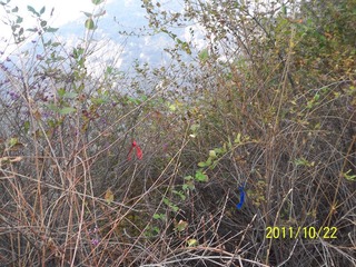 100_8669.jpg