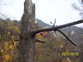 100_8667.jpg