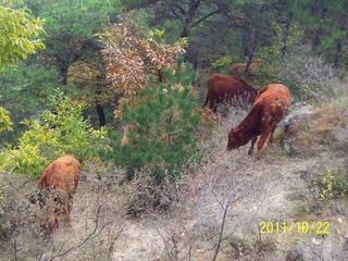 100_8631.jpg