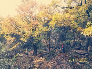 100_8618.jpg