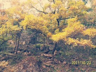 100_8615.jpg