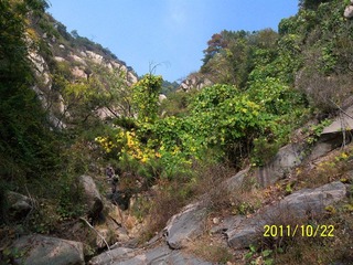 100_8587.jpg