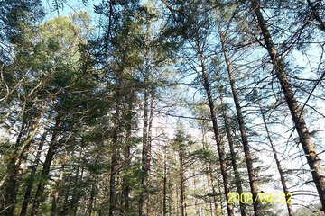 100_1931.jpg