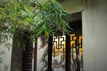 IMG_0044.JPG
