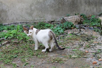 IMG_0351.JPG