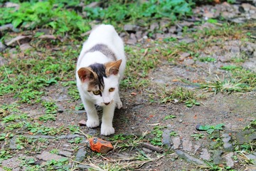 IMG_0352.JPG