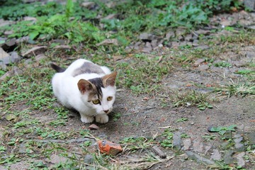 IMG_0353.JPG