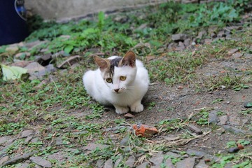 IMG_0354.JPG
