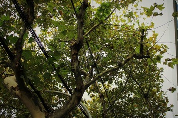 IMG_0475.JPG