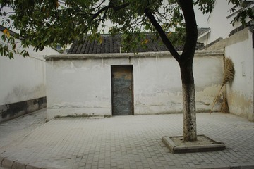 IMG_0509.JPG