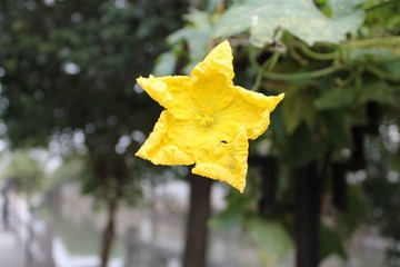 IMG_0516.JPG