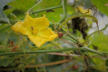 IMG_0521.JPG